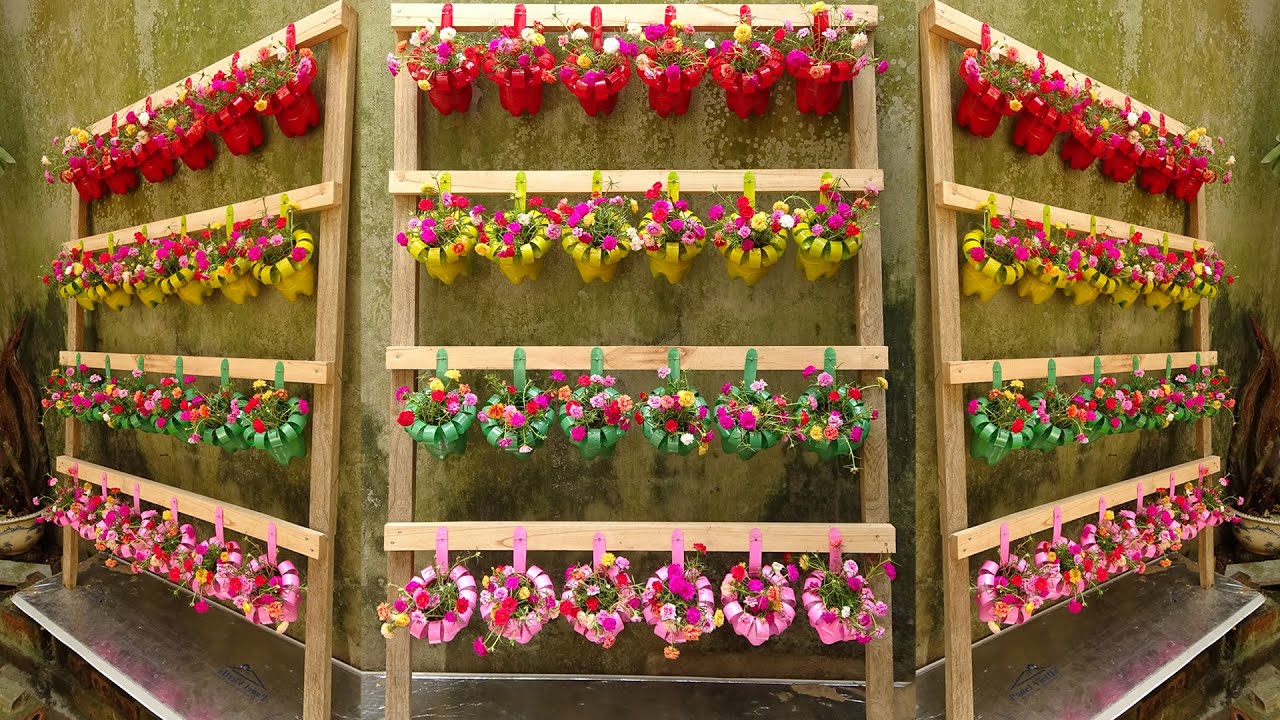Beautiful Hanging Garden from Plastic Bottles | Creative Flower Portulaca Planting