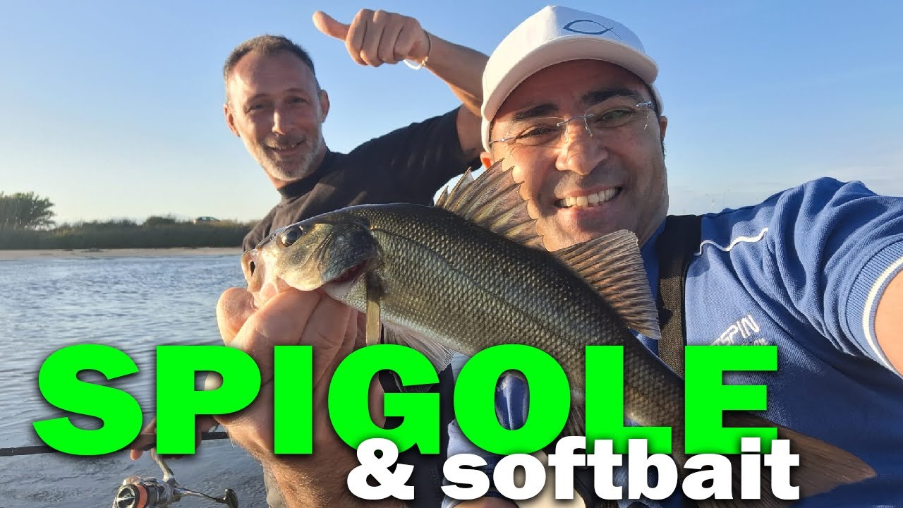 spigole a light spinning con le softbait REAL ADVENTURES 14