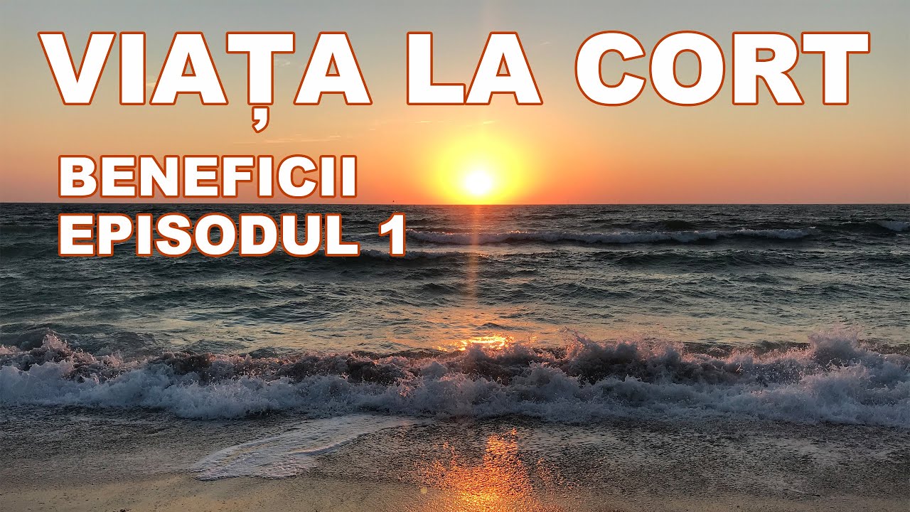 Viața cu CORTUL în 2023 🟢 Cum este viata la CORT 🟢Tot ce trebuie să știi 🟢 Prețuri și sfaturi