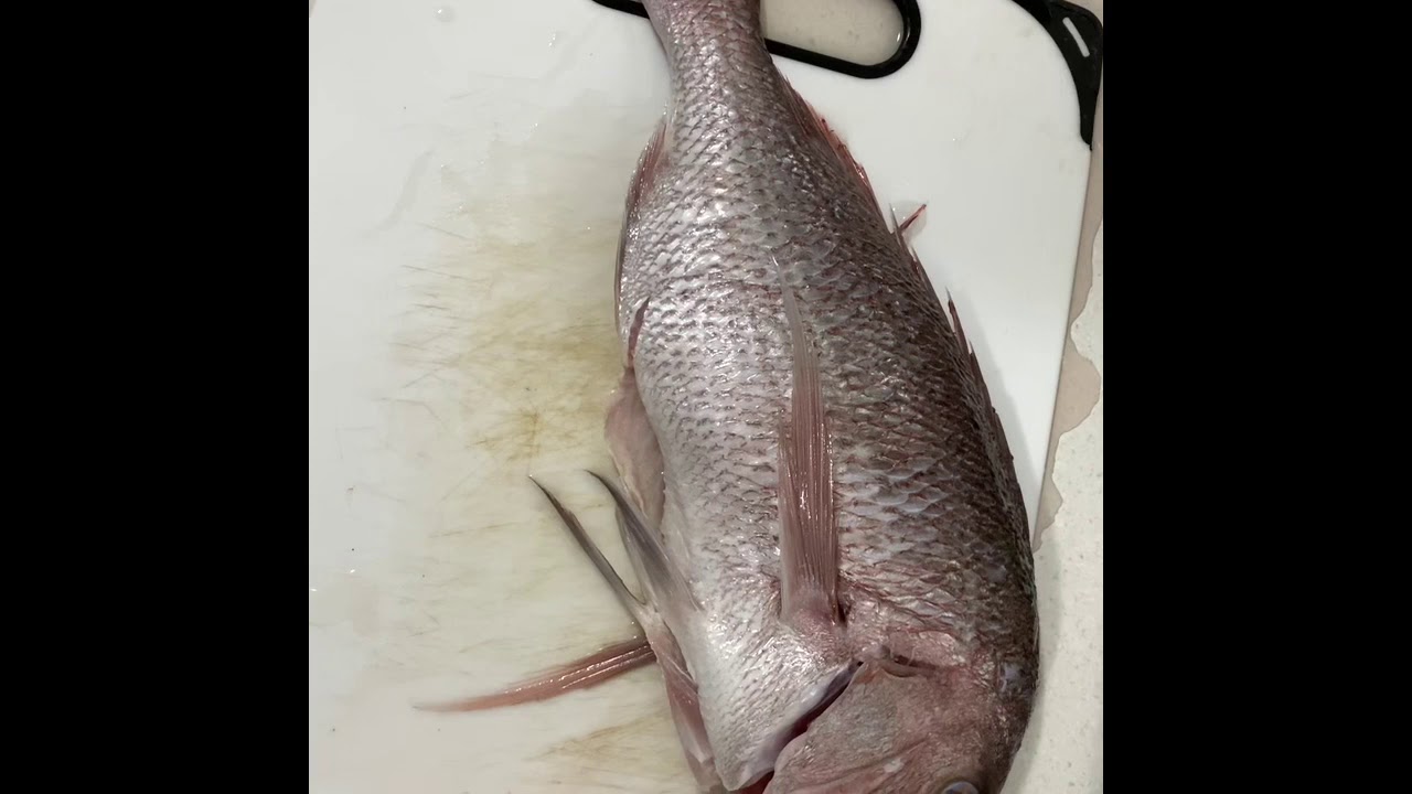 Pink Snapper Fry Fish