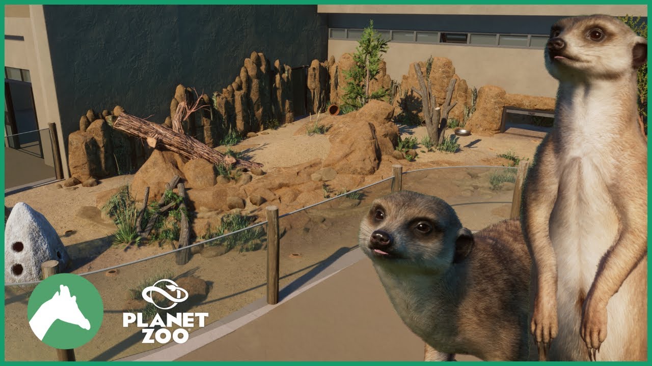 Meerkat Habitat | Desert House | Elm Hill City Zoo | Planet Zoo