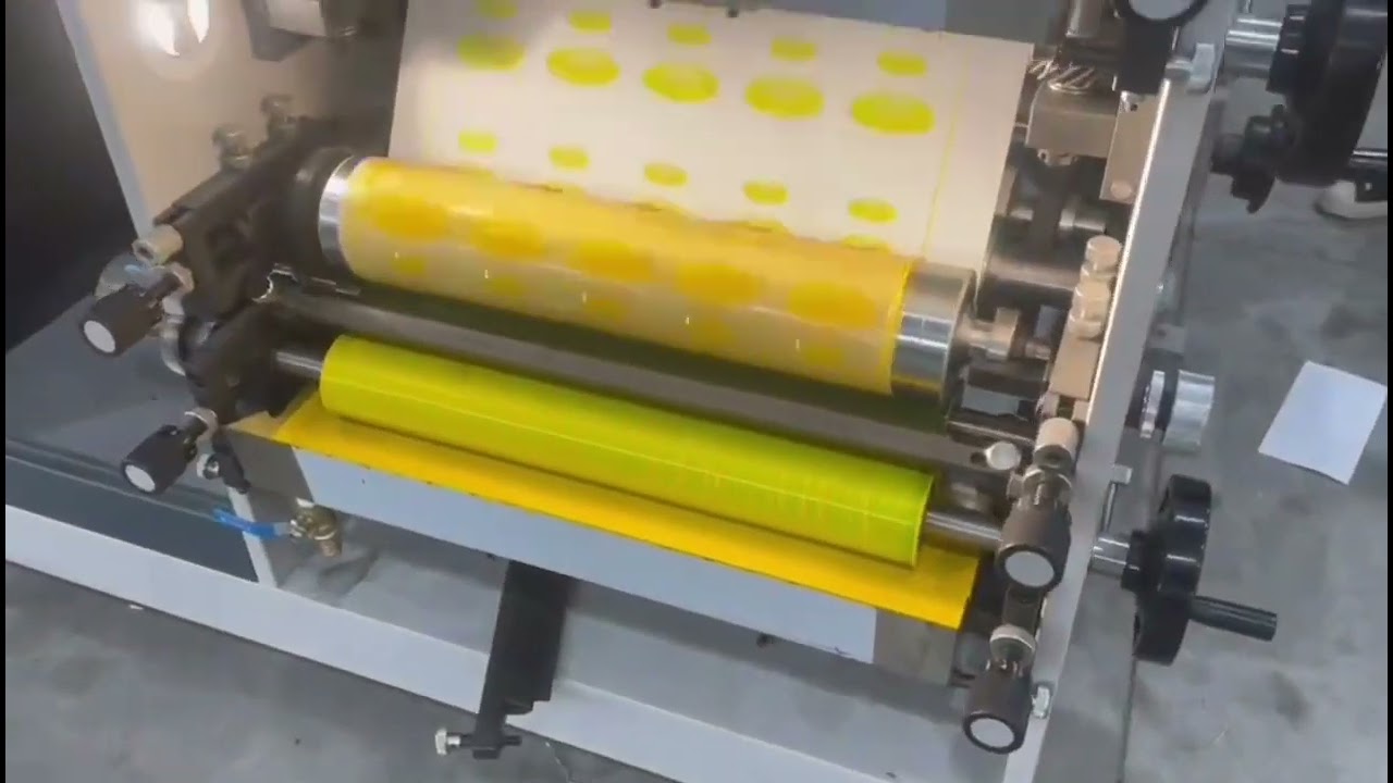 RY Label Flexo Printing Machine With Die-Cutting And Slitting Device