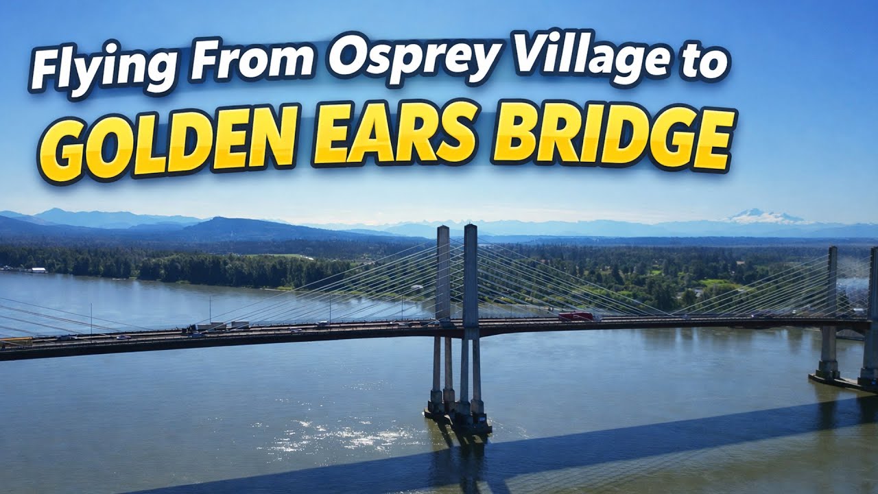 Flying From Osprey Village To Golden Ears Bridge Drone Video