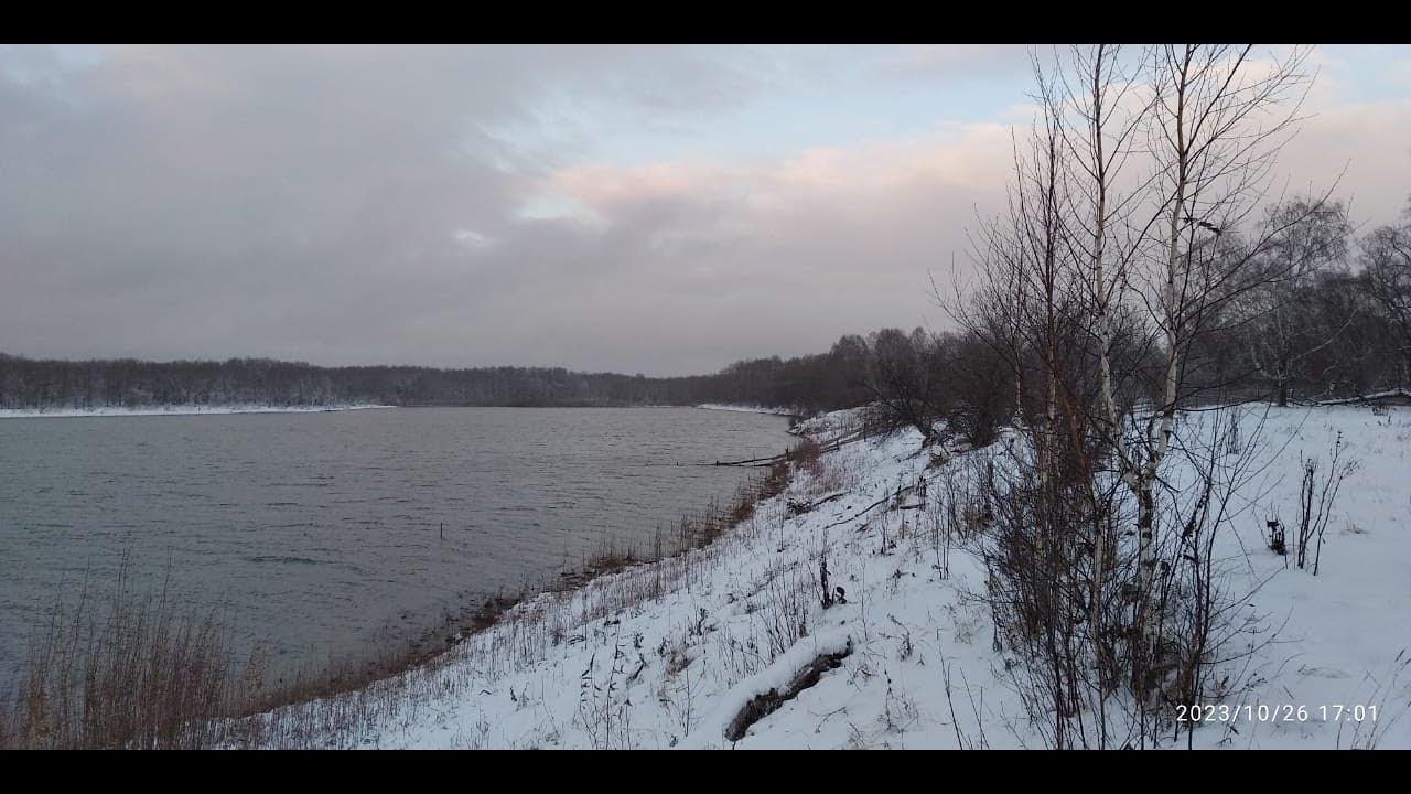 23.02.2024 OMSK oblast. PLOT