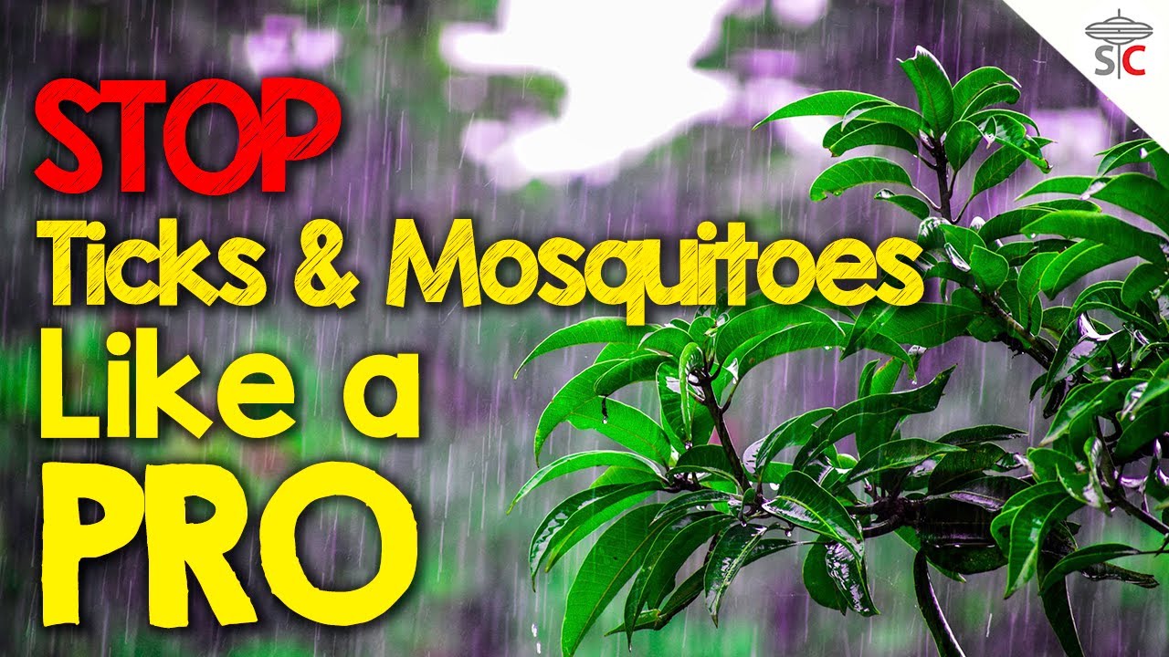 Mosquito & Tick Control Yard Spraying - 1 Step - Best Defense for DIY EEE & Lyme