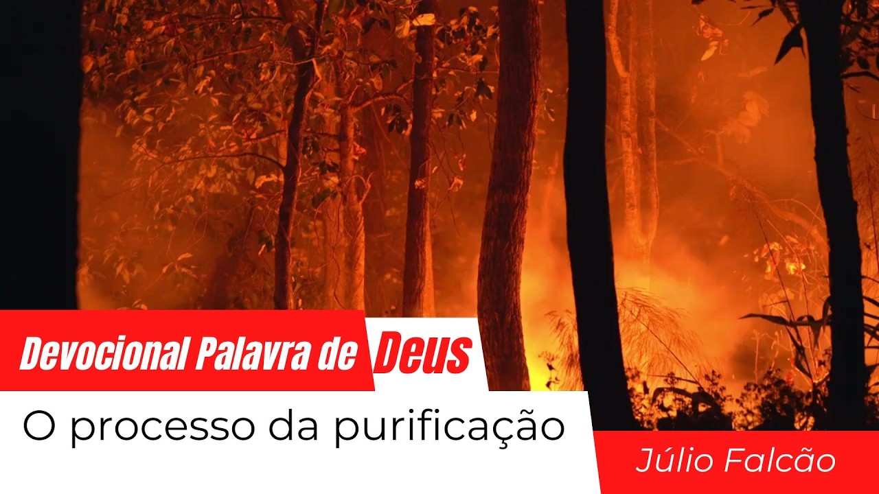 Pastor Júlio Falcão | O processo da purificação