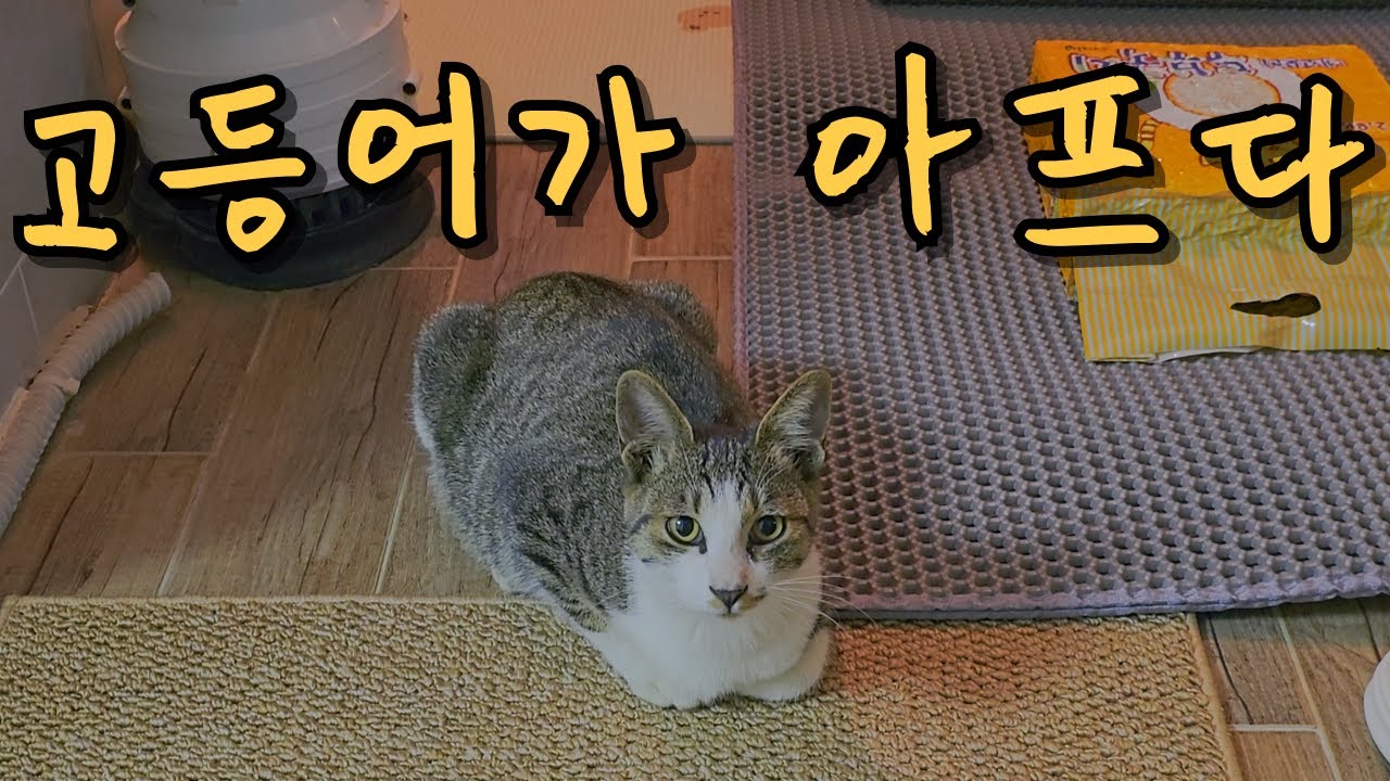가난한 집에 더 불행이 오는 느낌