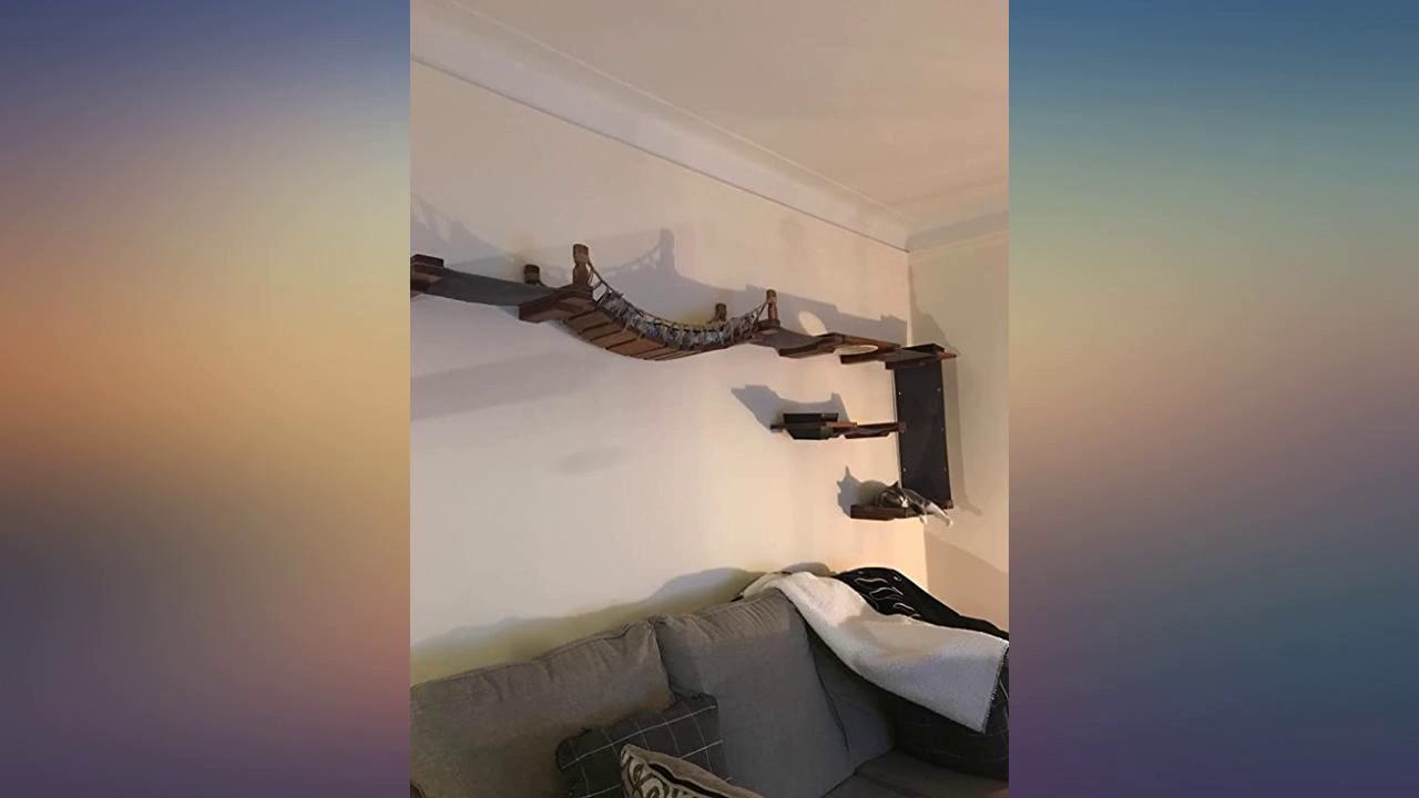 CatastrophiCreations Cat Bridge Wall-Mounted Play and Lounge Toy Cat Tree with review