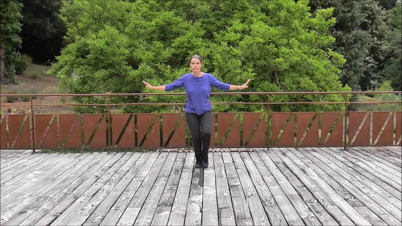 Qi Gong général _ Tiao San Bao