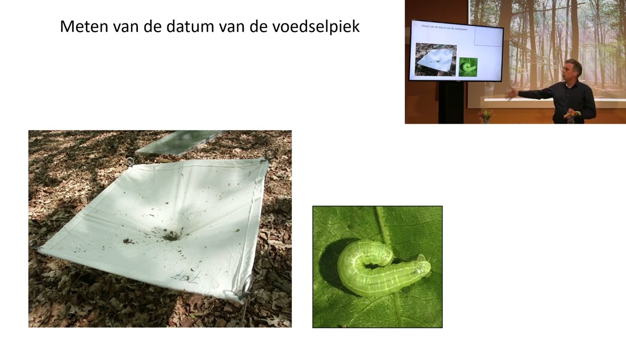 Bossenbeleid Symposium deel 3: Marcel Visser