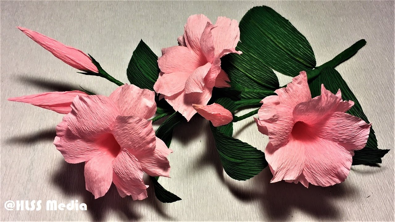 How to make an easy diy origami mandevilla paper flower / making flower by crepe paper step by step