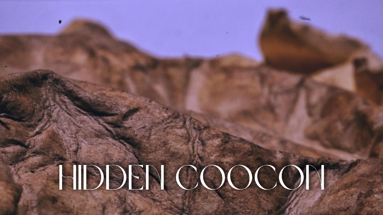 La Red Bullet - Hidden coocon (Lyric video)
