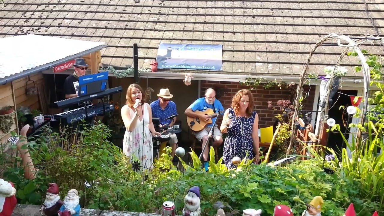 The Ship's Cat Band