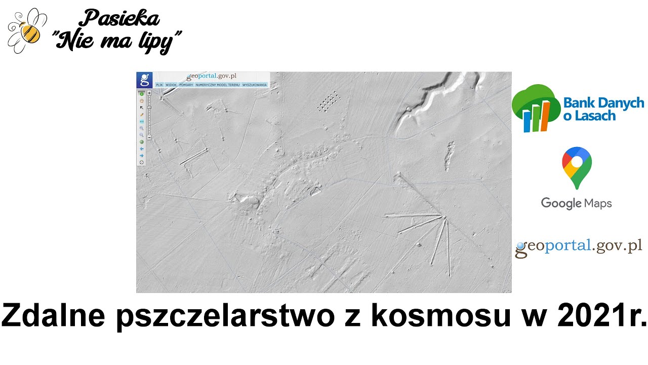 Miejsce na pasiekę w Lasach Państwowych. Pasieka w lesie 2021r. Zdalne pszczelarstwo mBDL, LiDAR