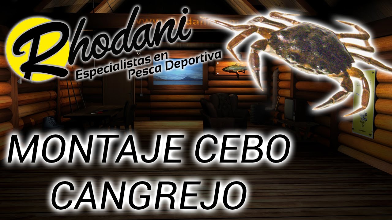 Cómo MONTAR CANGREJO para CEBO | PASO a PASO para ATRAER GRANDES PECES