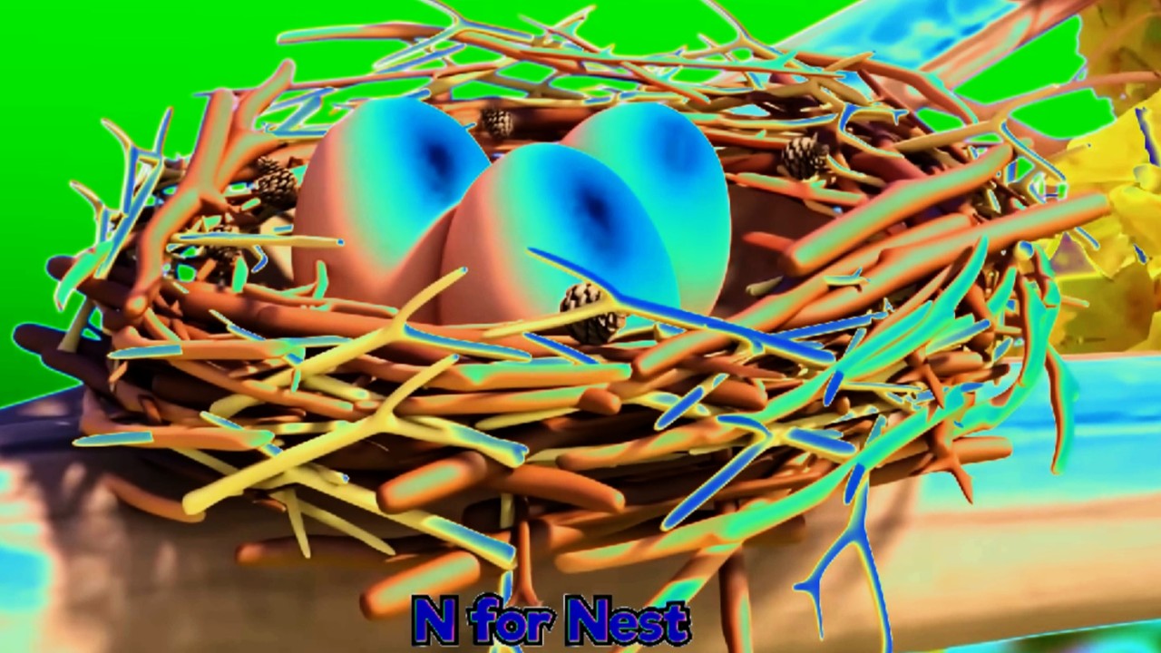 N for Nest and Nose Effects    Sponsored By: Nein Csupo Effects