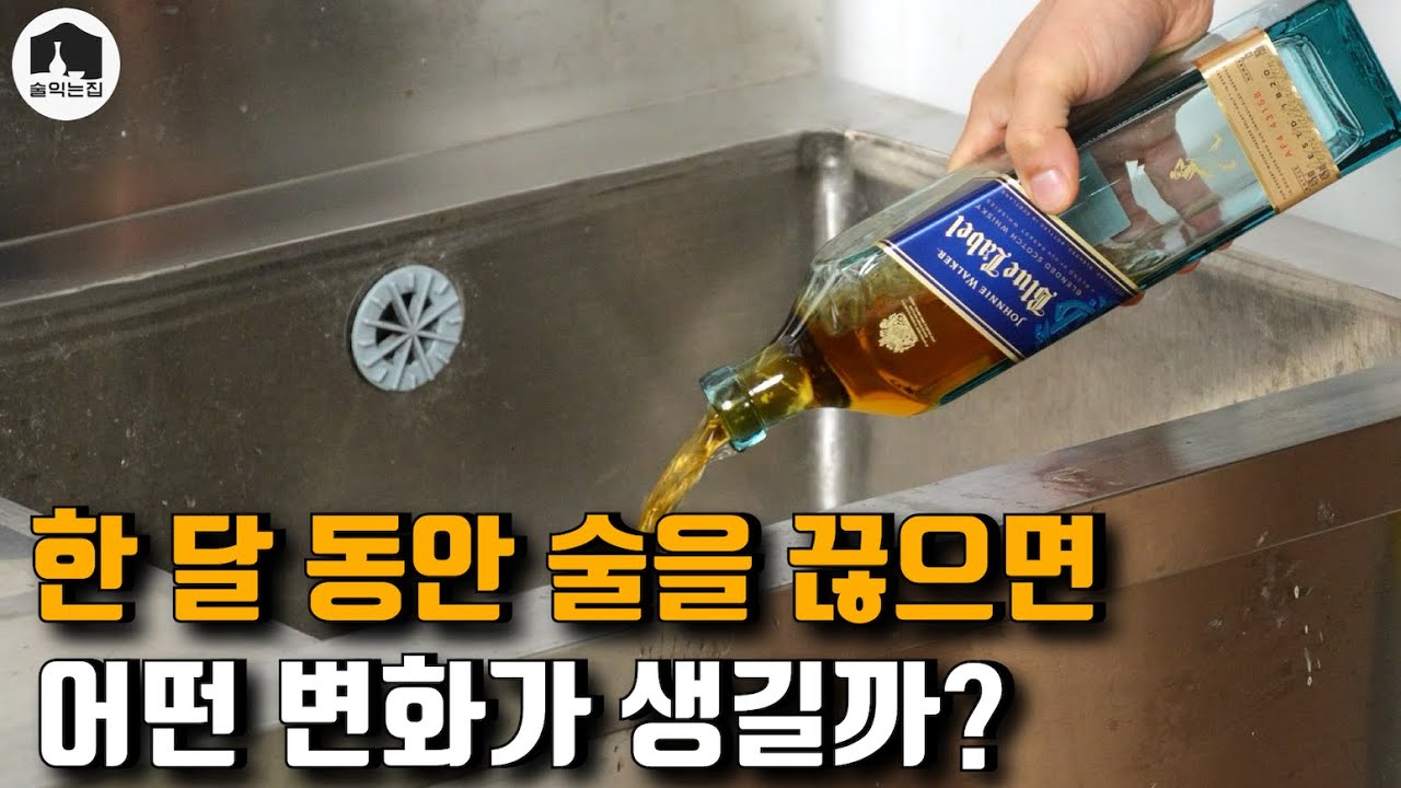 한 달 동안 술을 끊어 봤습니다 (with 정지선 셰프, 캡틴따거, 주락이월드)
