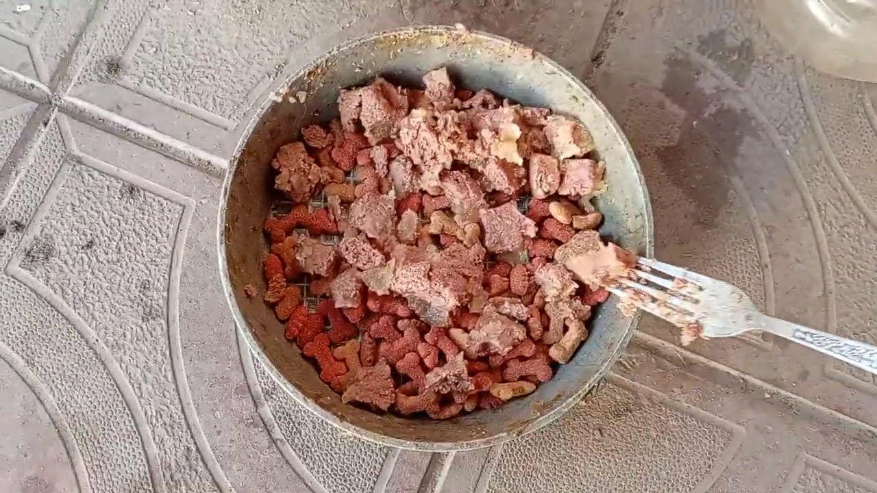 Що прислала Іларія Біму?
