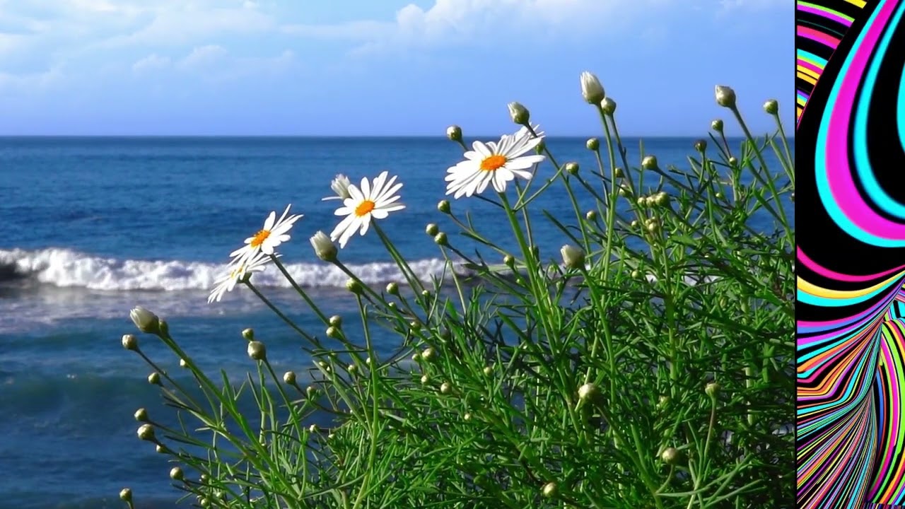 Relaxmusix