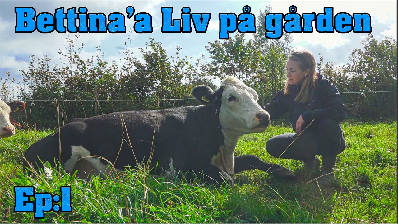 Bettina bytte vardagslivet mot Bondg&aring;rd || Ep:1 En dag p&aring; g&aring;rden