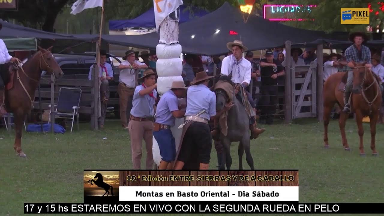 Entre Sierras 2024 - Montas en Pelo Primera Rueda  y resumen de Montas en Basto del Sábado