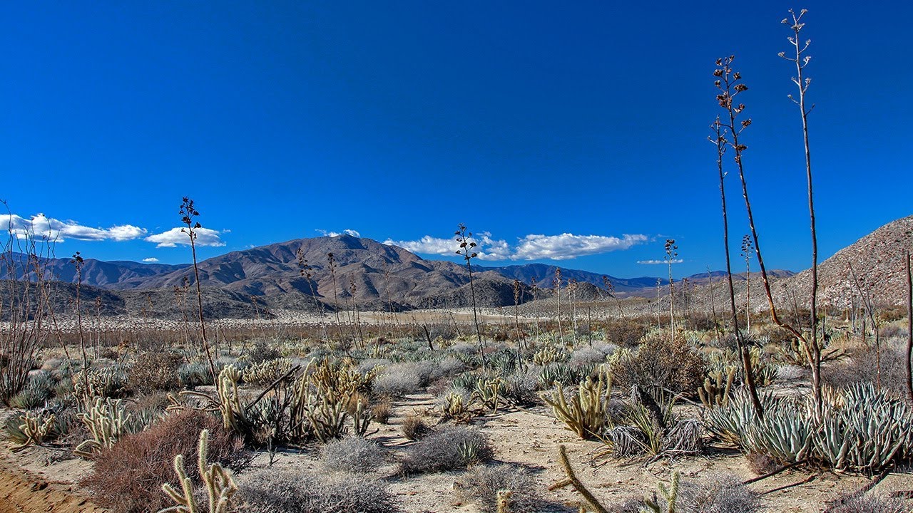 Blair Valley in Anza-Borrego