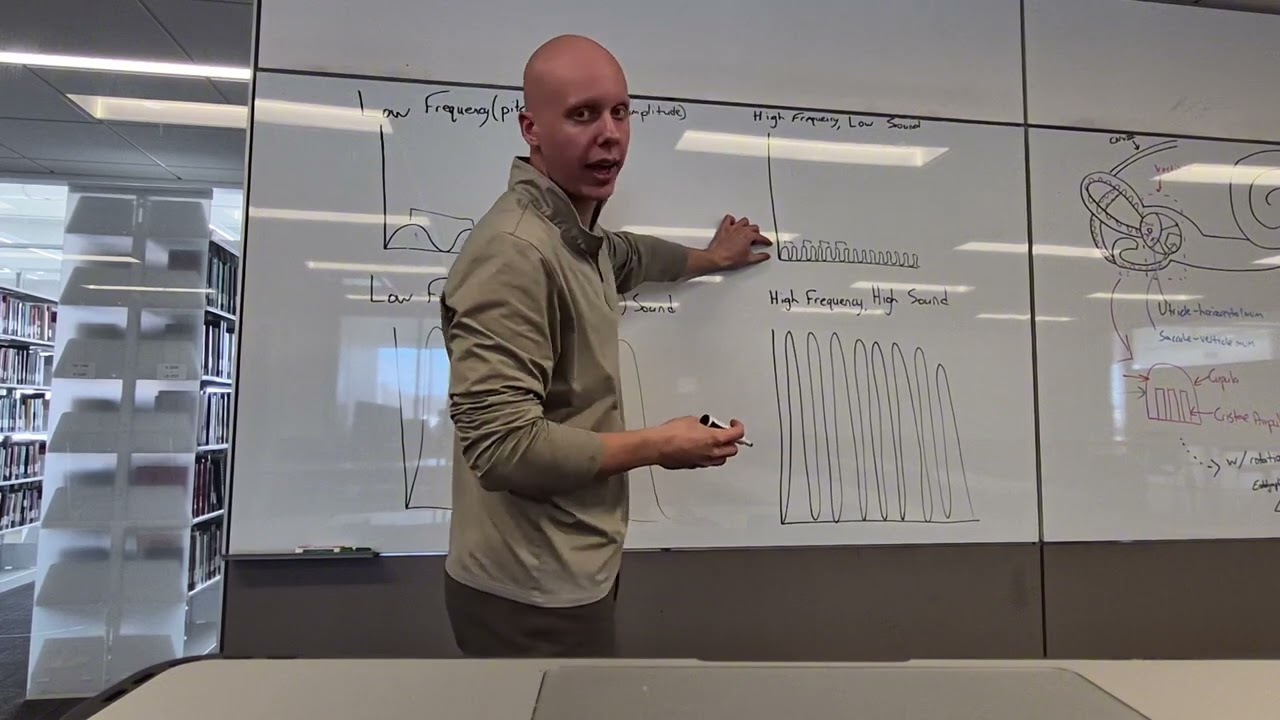 Volume and Pitch