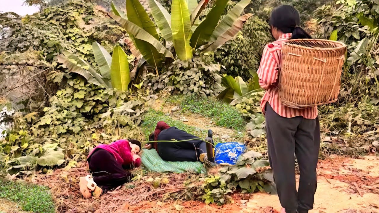 A woman's kindness saved and helped me when I was in trouble on the street.