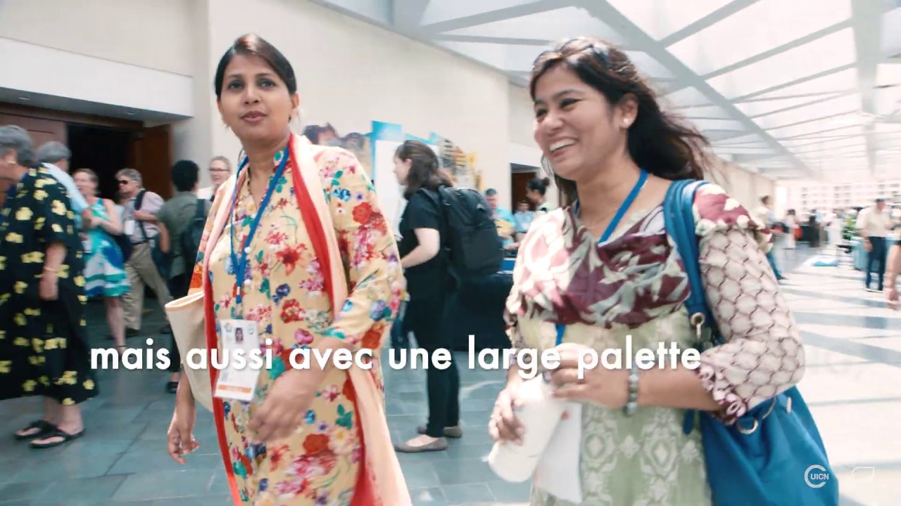 Témoignages du Congrès mondial de la nature de l'UICN 2016