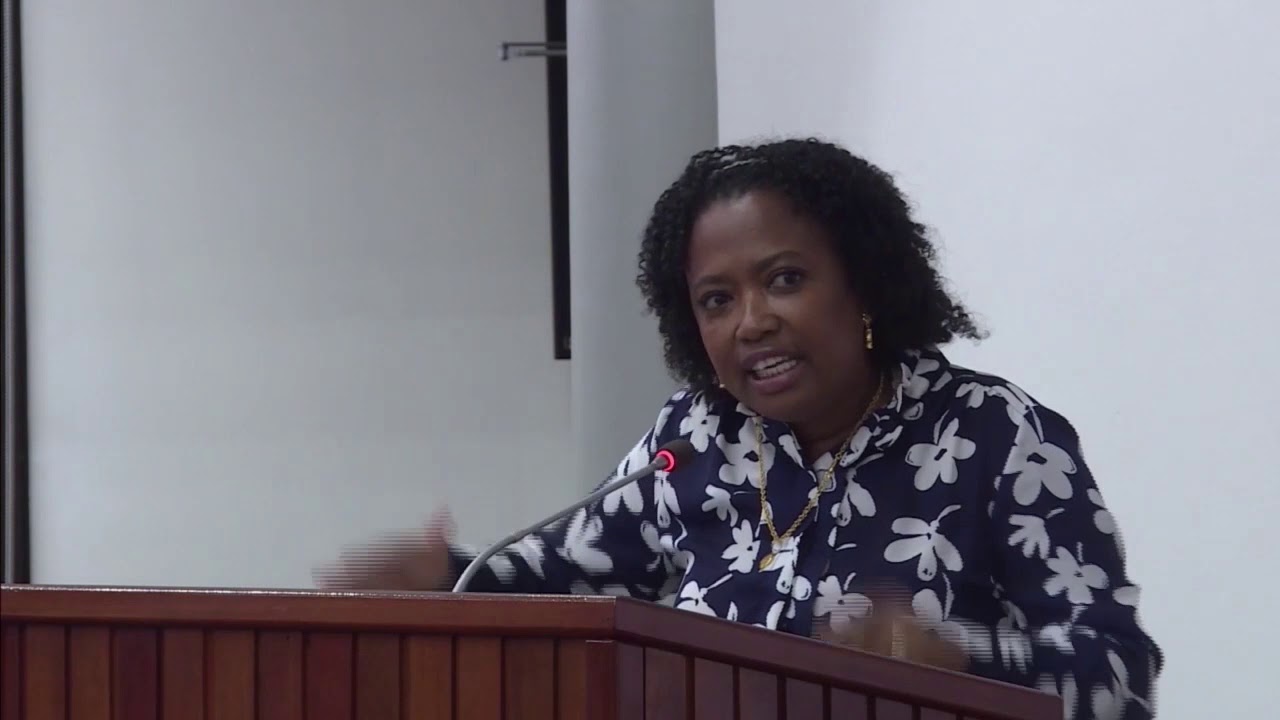 29 05 2019 DNA Lid Patricia Etnel laat zich gaan tijdens vergadering