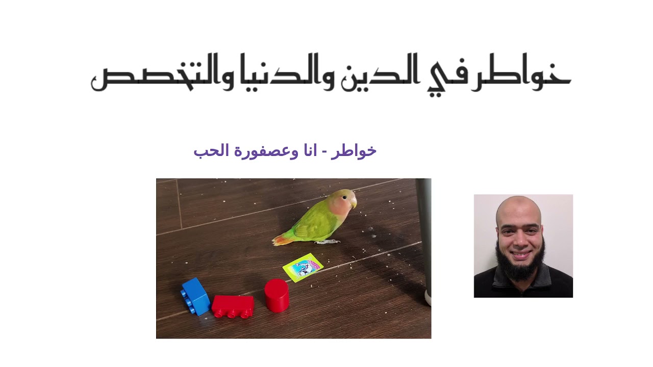 خواطر - أنا وعصفورة الحب