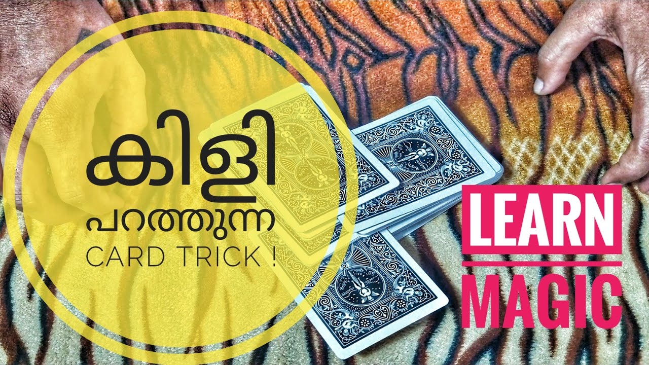 കിളി പറത്തും കാർഡ് മാജിക് |  Easy Card Trick- Malayalam Detailed Tutorial | Learn Magic | Mag V