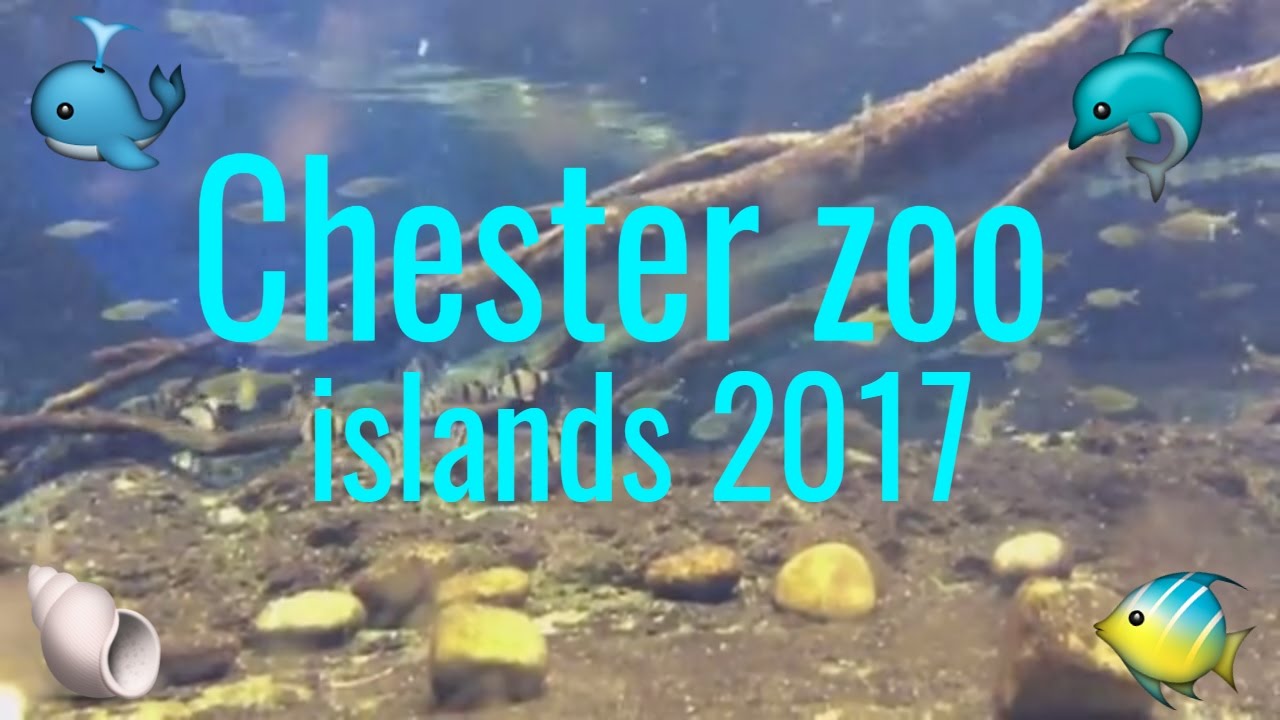 Chester zoo islands visit 2017 - necropaster