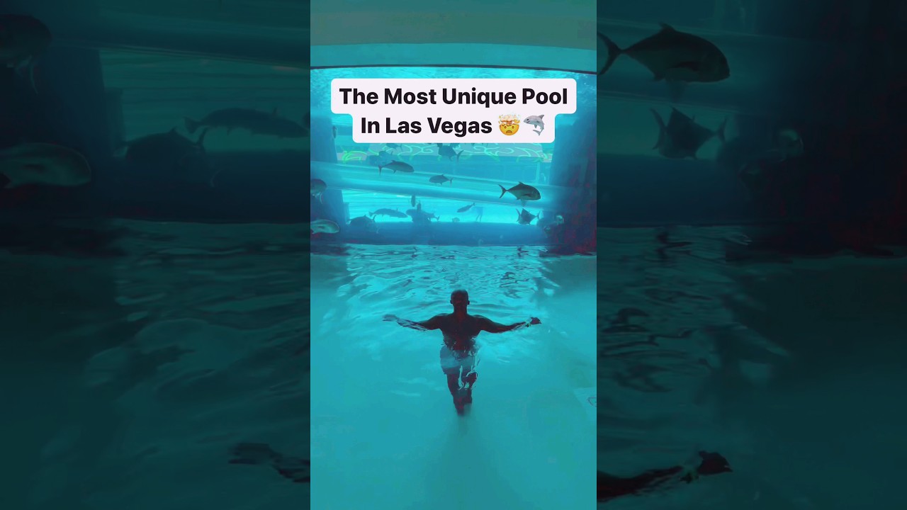 A water slide inside a SHARK TANK!?