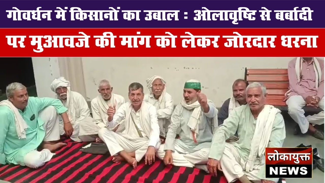 गोवर्धन में किसानों का उबाल: ओलावृष्टि से बर्बादी पर मुआवजे की मांग को लेकर जोरदार धरना
