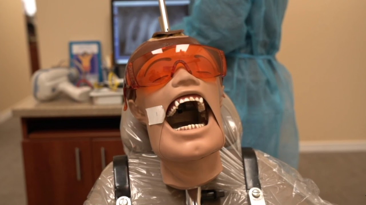 SHARK DENTAL ACADEMY GRAND OPENING