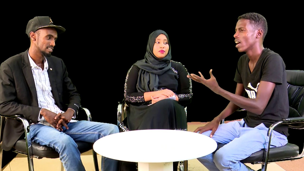 BARNAAMIJKA HIBOOYINKA IYO HABEENKA DHALINYARADA