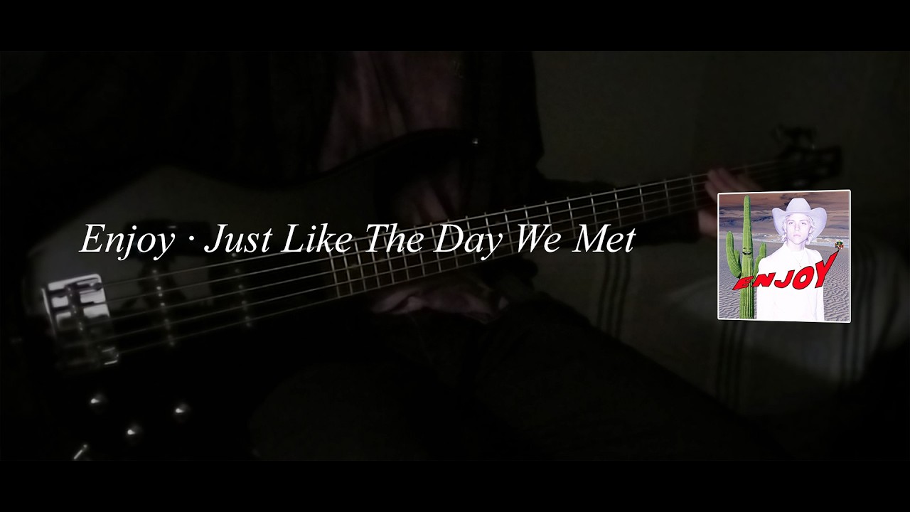 Enjoy · Just Like The Day We Met  ·  Bass Cover