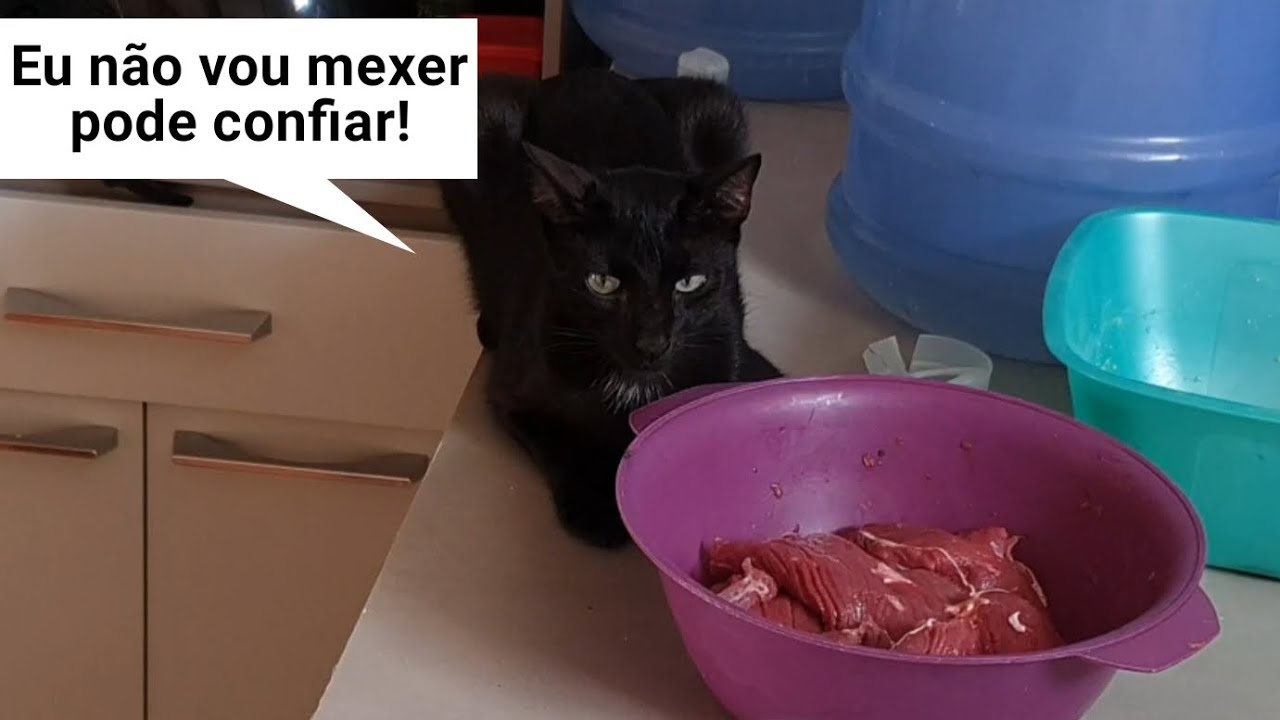 Testei o Júlio na cozinha 😂 | Júlio e Eu