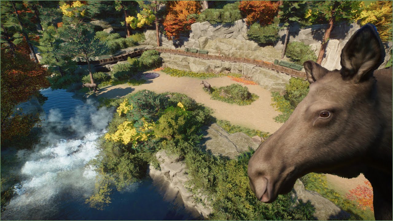 🫎 Moose habitat in the forest | Quaco Zoo | Planet Zoo | speedbuild 🌻