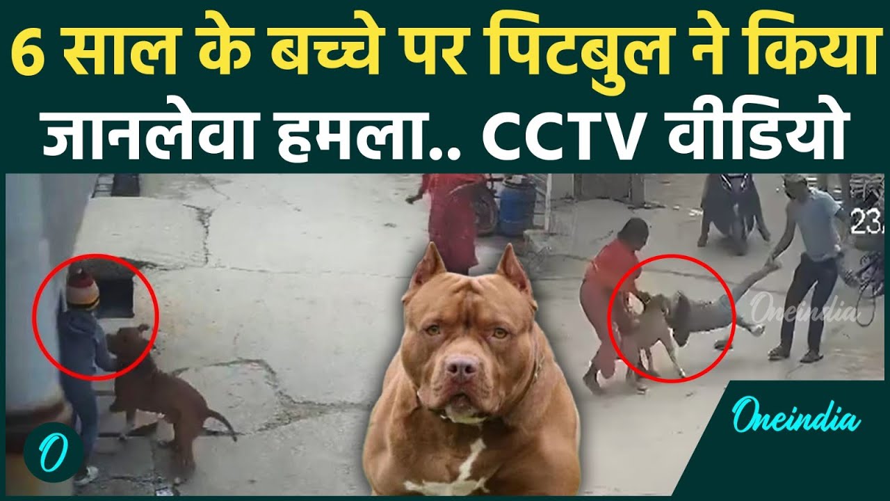 Shocking VIDEO: Delhi में फिर से DOG Attack; Pitbull कुत्ते का 6 साल के बच्चे पर हमला किया, काटा कान