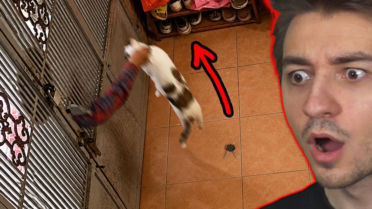 Quando Ti Fidi Del 