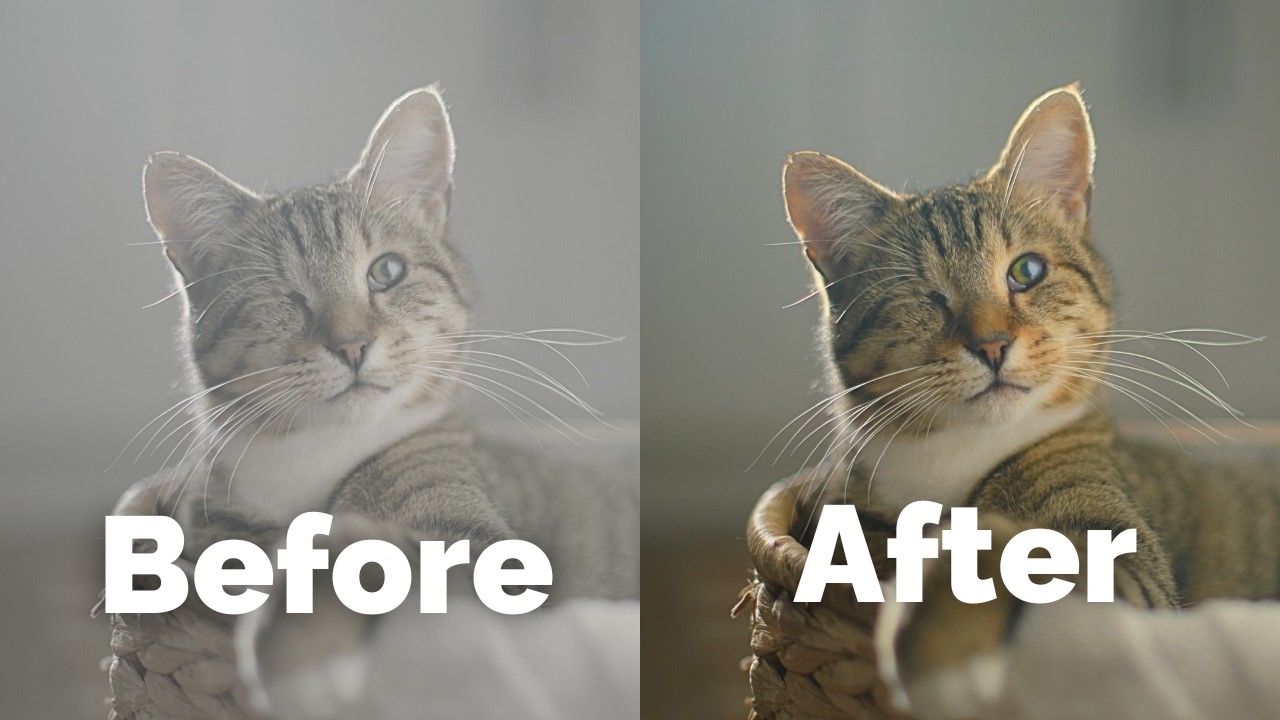 How to install LUTs on the Canon R5 Mark II