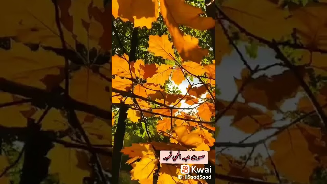 دعاء يشرح القلب ، صوت جميل