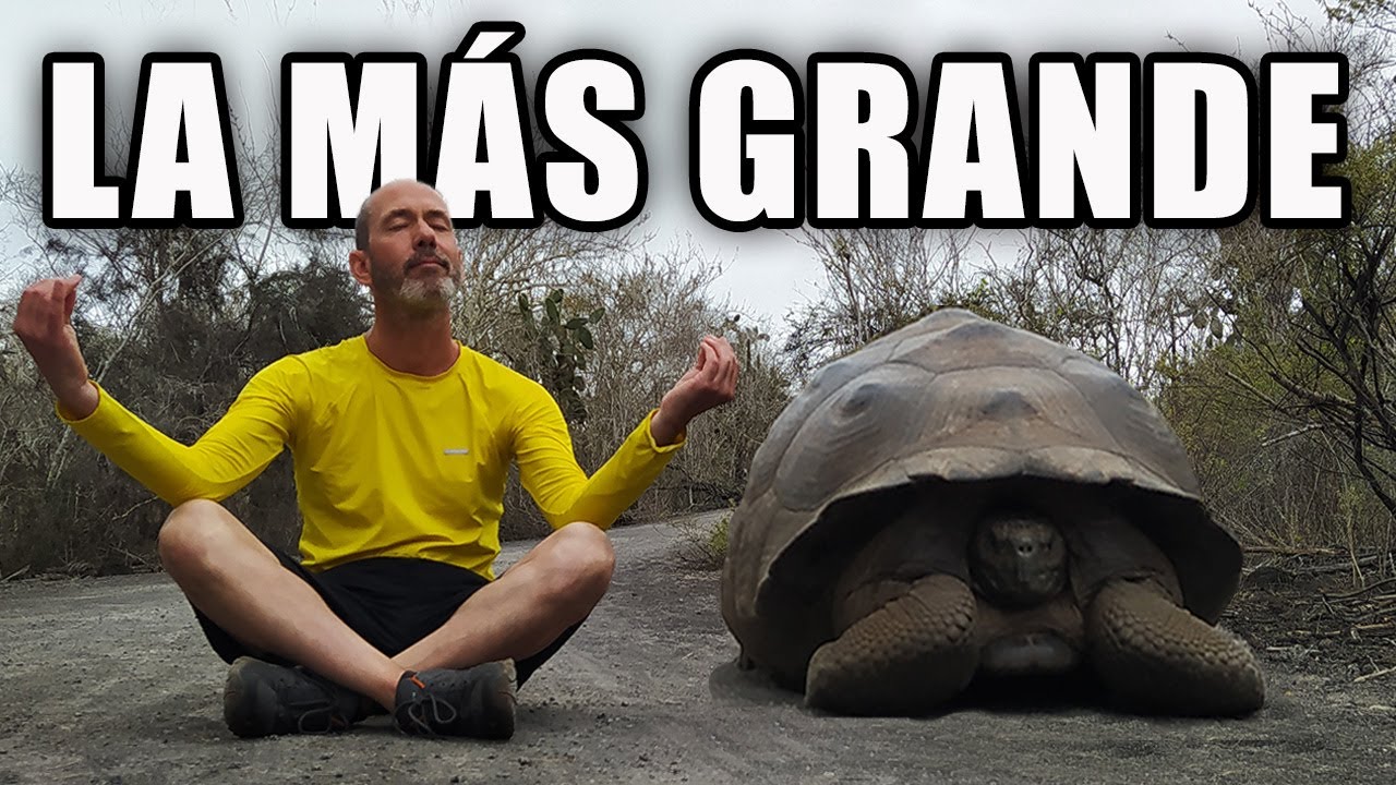 LA MÁS BELLA❓ Isla ISABELA, Galápagos