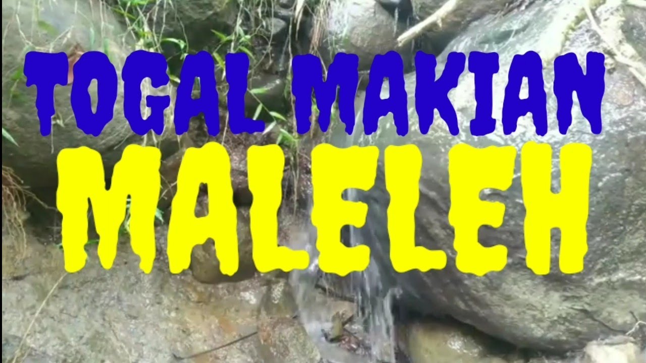 TOGAL MAKIAN MALELEH