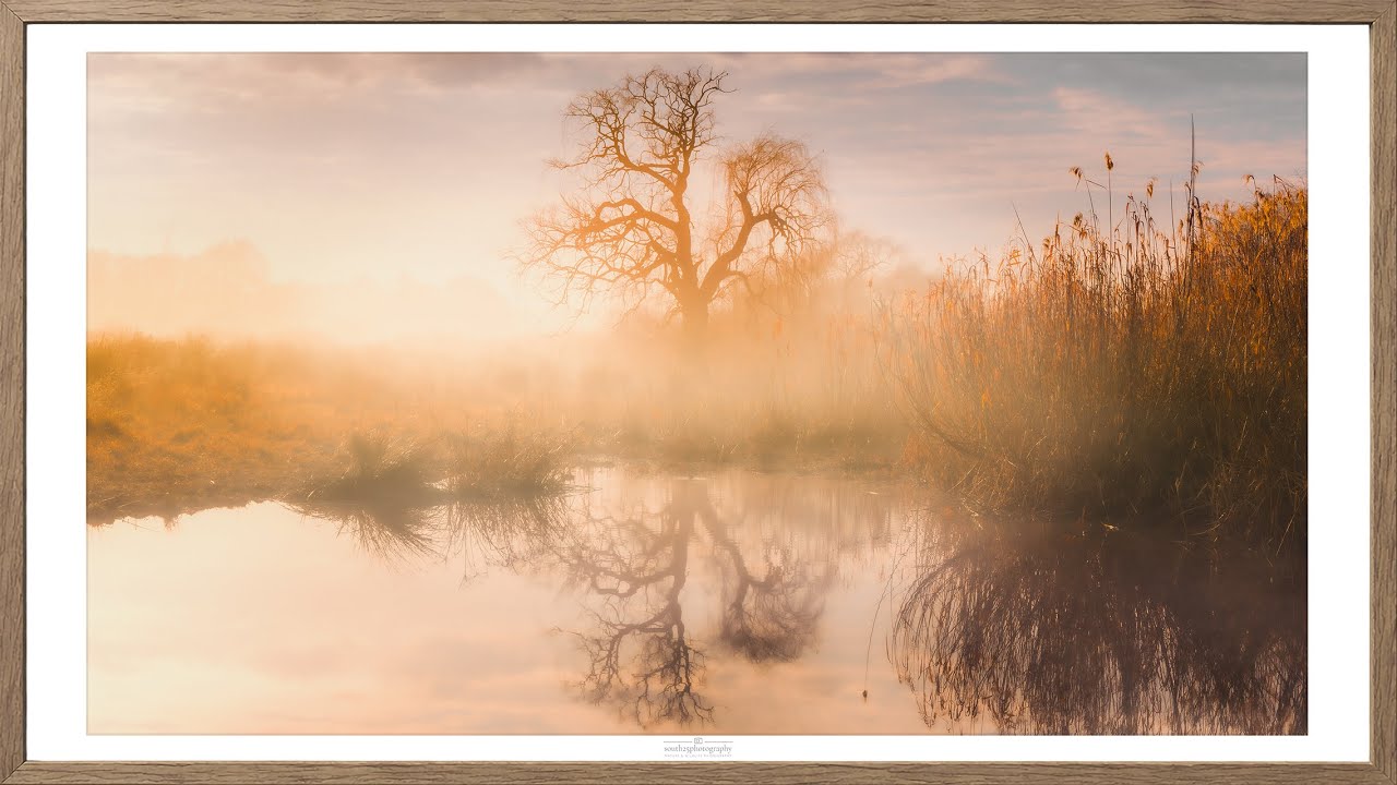 Tree Reflection | South Africa | Real Framed Photo For TV | No AI