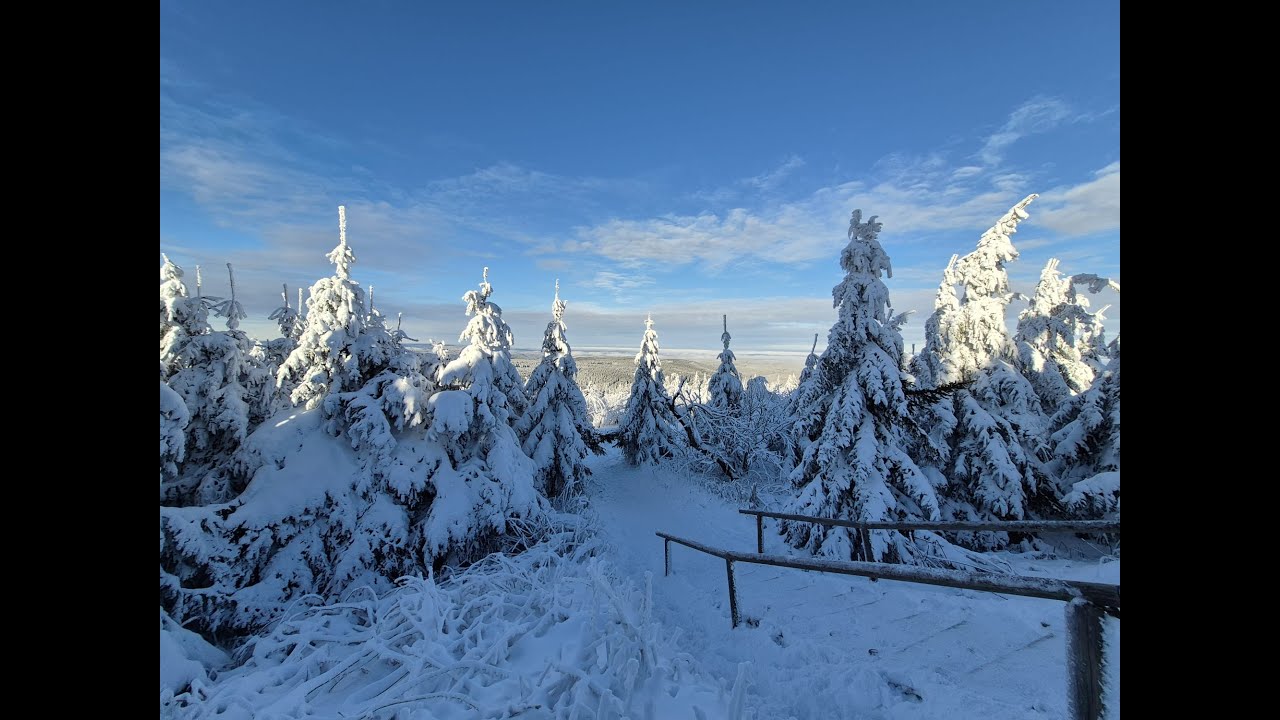 Chris Rea - Driving Home For Christmas (Fichtelberg - Oberwiesenthal 12.12.2024)