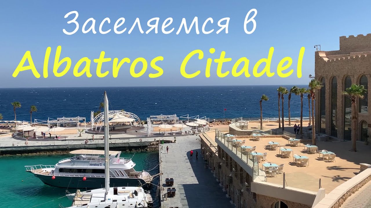 Заселяемся в номер, наши первые впечатления об отеле  Albatros Citadel Resort 5*