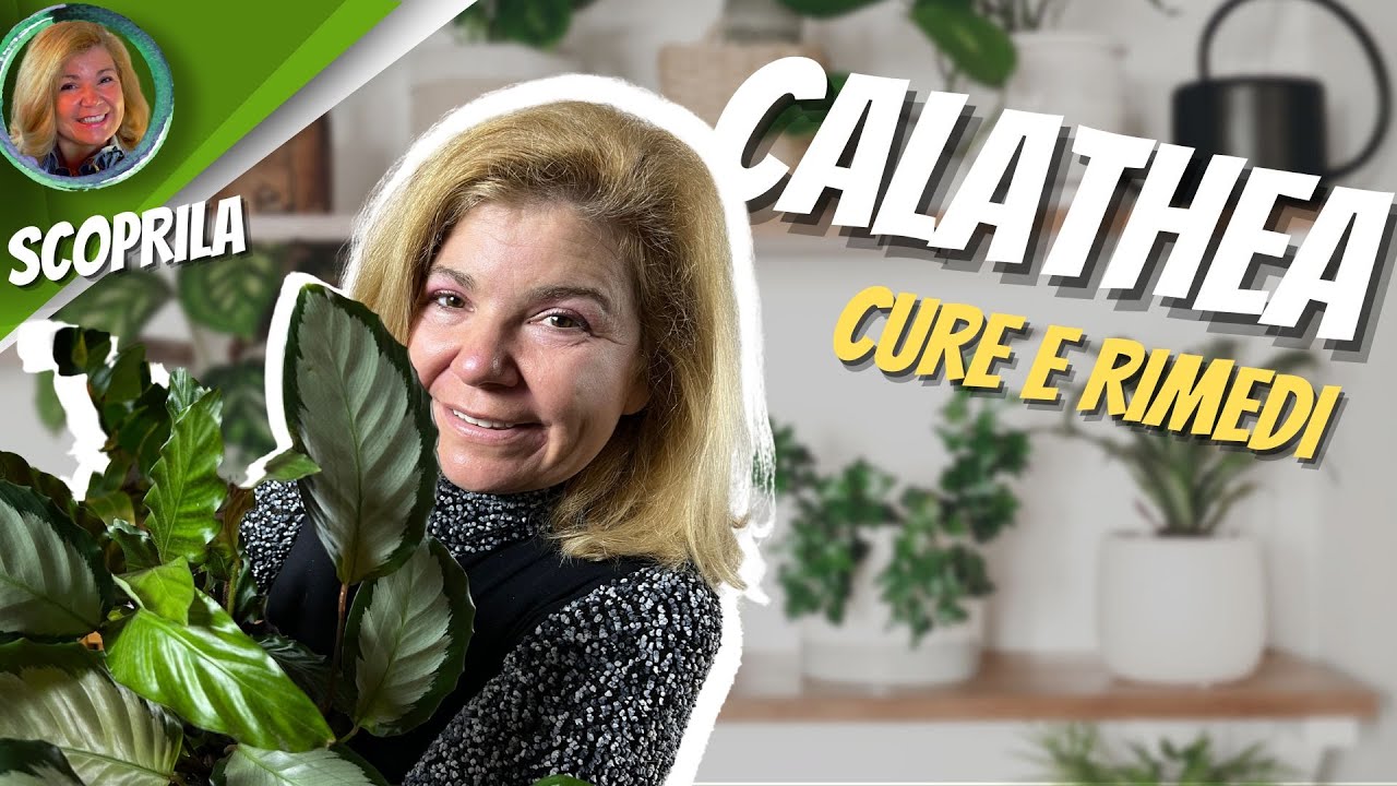 CALATHEA | TUTTI I SEGRETI - The Secrets of CALATHEA